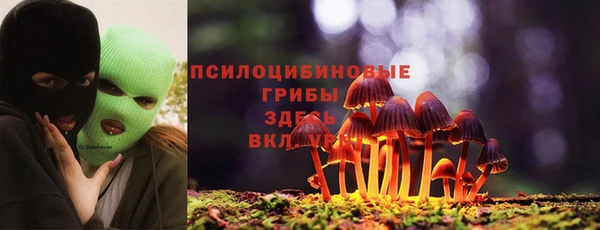 ECSTASY Волоколамск