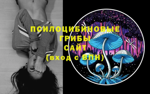 ешки Вяземский